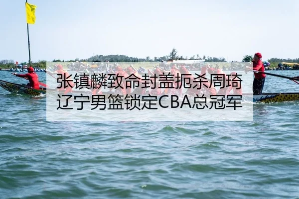 张镇麟致命封盖扼杀周琦 辽宁男篮锁定CBA总冠军